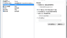 vmware下的网卡分配问题