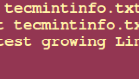 如何使用 awk 输出文本中的字段和列