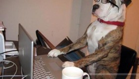 对于初学者来说 Javascript 也并不简单