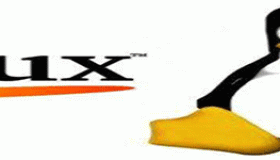 并发服务器：Redis案例研究分析