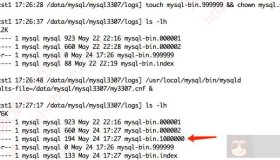 MySQL binlog后面的编号如何取值？