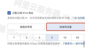 阿里云服务器流量收费价格表_不同地域报价大全