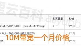 阿里云服务器10M公网带宽收费价格_10M一年和1个月报价