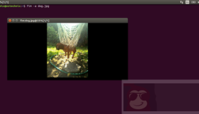 骚操作：用终端打开图片