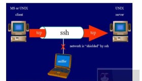 SSH命令使用小节