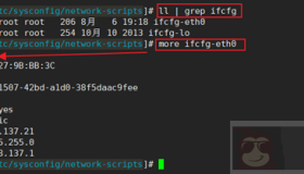 Linux修改网卡名称