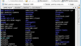 Linux远程连接工具