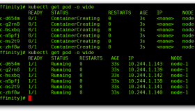 指定pod运行在固定节点