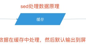 shell对文件的操作