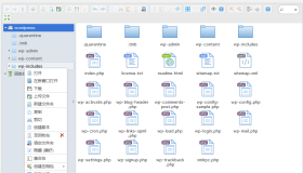WordPress文件管理插件：Filester-File Manager Pro