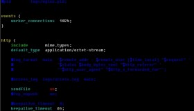 Nginx配置文件语法着色