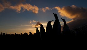 你为什么需要在云端构建Linux服务器？