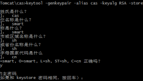 安装 CAS 服务器