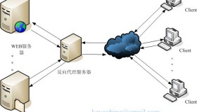 Nginx 反向代理脚本