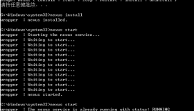 Windows下使用Nexus创建私服