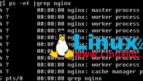 Linux下查看Nginx安装目录、版本号信息?