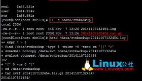 SVN完全备份svnadmin hotcopy