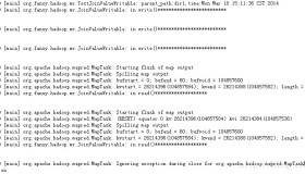 Hadoop 自定义writable NullPointerException