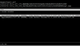 Nginx日志分析利器GoAccess