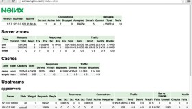 Nginx Plus 提供的在线活动监控功能