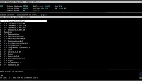 GoAccess 分析Nginx 日志