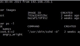 Docker构建Nginx+Tomcat动静分离架构