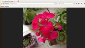 让Tiny服务器运行起来