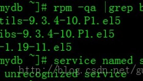RedHat Linux AS 5.3 下DNS的配置步骤