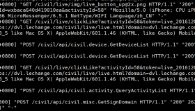 Goaccess：好用的Nginx日志分析工具