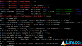 SUSE Linux Enterprise Server 11 SP3 安装 Redis服务器