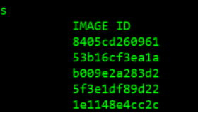 Docker分离环境搭建LNMP并部署Discuz