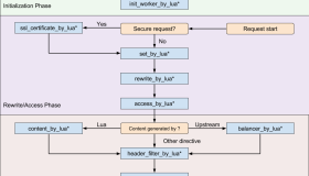 Nginx执行阶段详细解析