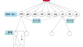 关于DNS服务入门了解篇