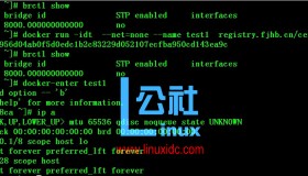 CentOS 7下为Docker容器分配固定IP