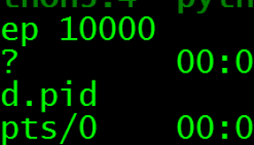 分布式基于内存的缓存服务Memcached