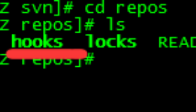 SVN 设置钩子将代码同步到Web目录下面