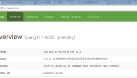 HA-Federation-HDFS +Yarn集群部署方式