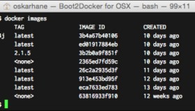 Docker的镜像和容器的区别