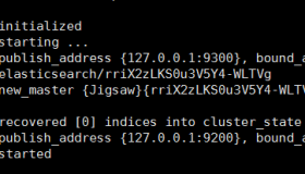 Elasticsearch插件安装之Linux下安装及head插件