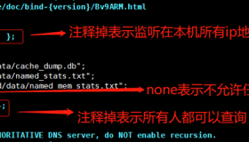 DNS服务-主从架构搭建