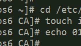 创建私有CA并签发证书