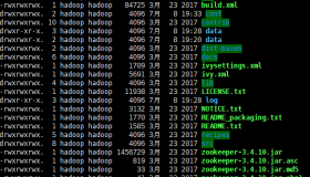 Zookeeper集群环境搭建