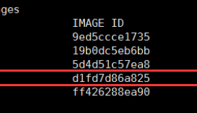 使用Docker Registry快速搭建私有镜像仓库