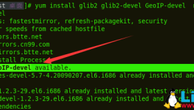 CentOS 6.5下使用GoAccess工具分析Nginx网站日志