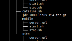 Saltstack批量部署Tomcat（多实例）