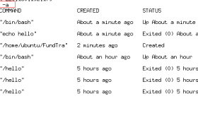 paas架构之Docker容器进程管理