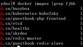 Kubernetes集群配置DNS服务