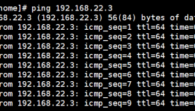 Linux下使用screen和ping命令对网络质量进行监控