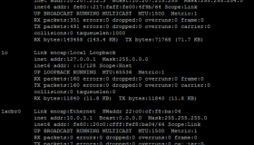 Azure上Linux虚拟机Mac地址的持久化