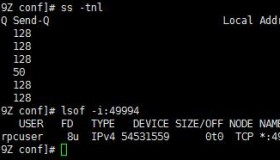 Linux服务器发现奇怪的端口处理方法